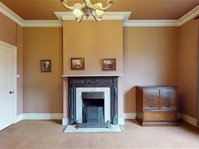 Picture 7